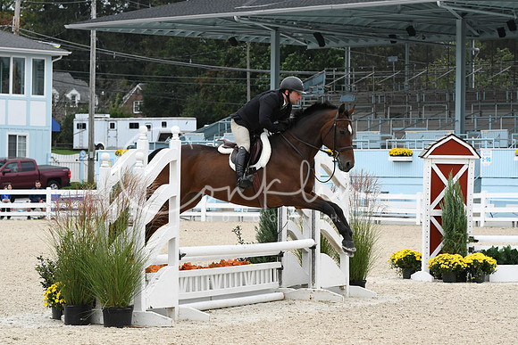HSM_2658