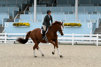 HSM_2738