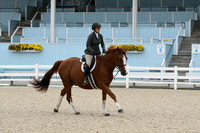 HSM_2739