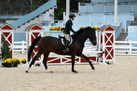 HSM_2762