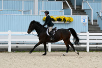 HSM_2771