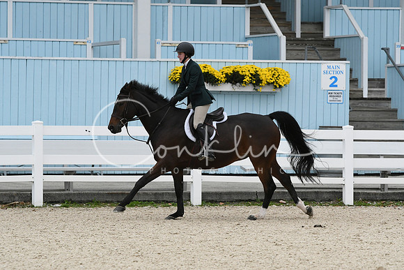HSM_2771