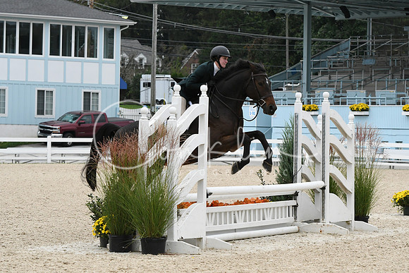 HSM_2772