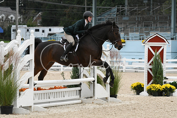 HSM_2820
