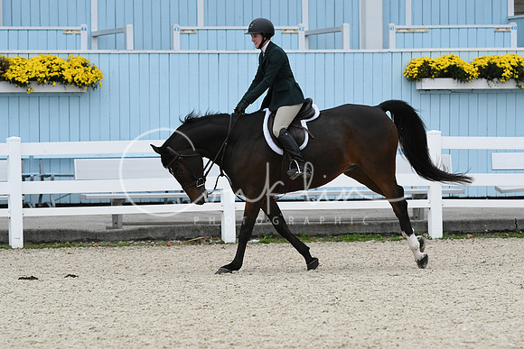 HSM_2828