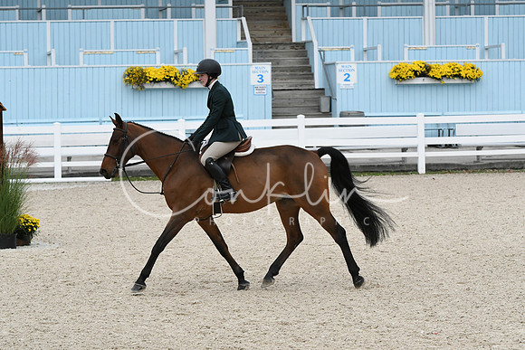 HSM_2175