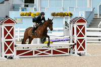 HSM_2187