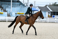 HSM_2260