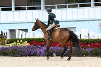 HSM_2263