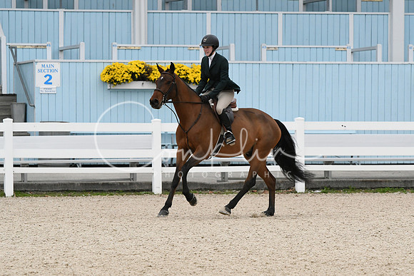 HSM_2268