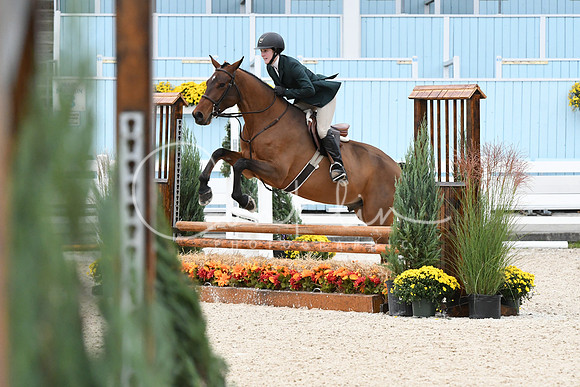 HSM_2270