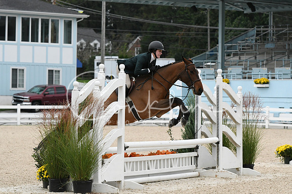 HSM_2275