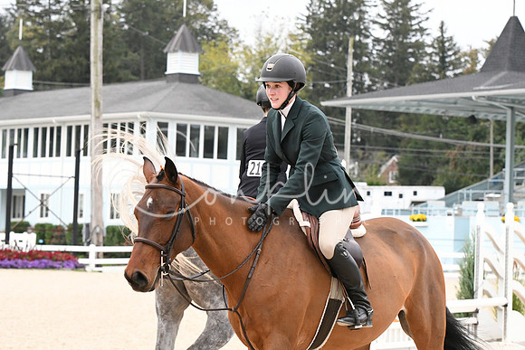 HSM_2290