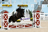HSM_2219