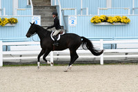 HSM_2223