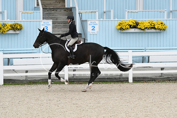 HSM_2223
