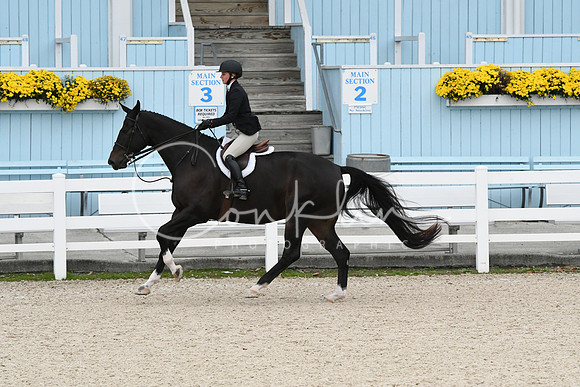 HSM_2224