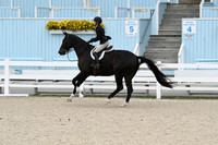 HSM_2225