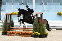 HSM_2332