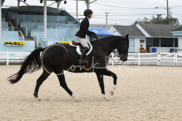 HSM_2350