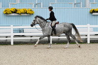 HSM_2206
