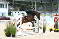 HSM_2420