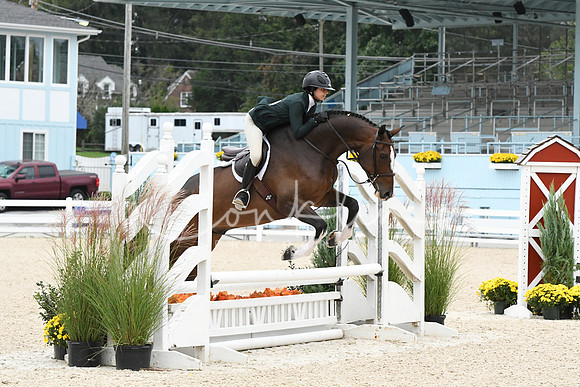 HSM_2420