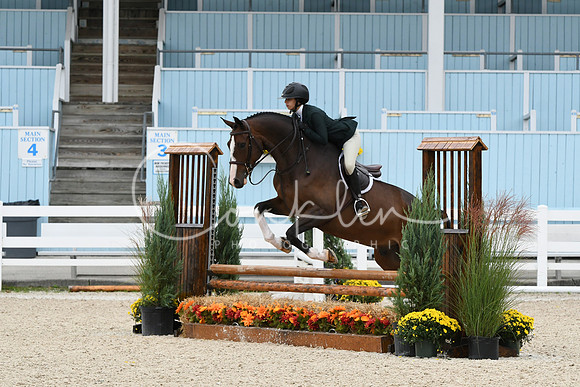HSM_2580