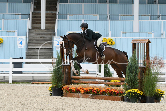 HSM_2581