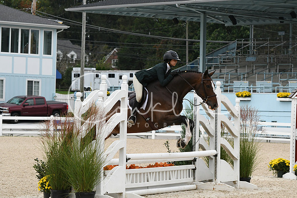 HSM_2586