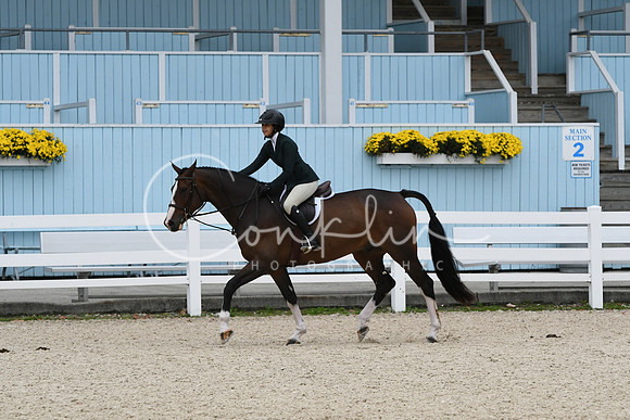 HSM_2603