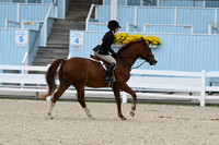 HSM_2844
