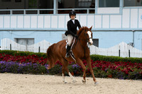 HSM_2851