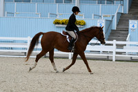 HSM_2864