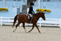 HSM_2866