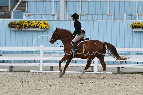 HSM_2876