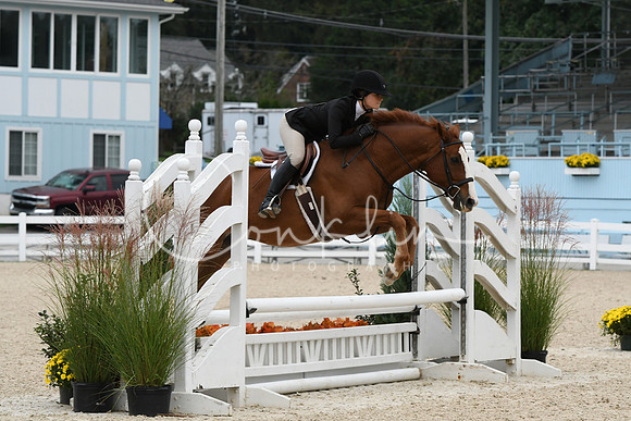 HSM_2879