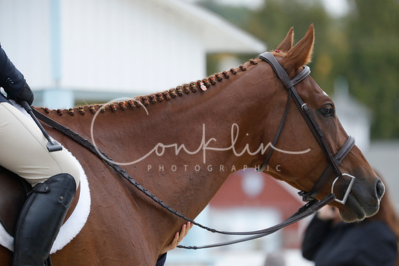 _CM_8600