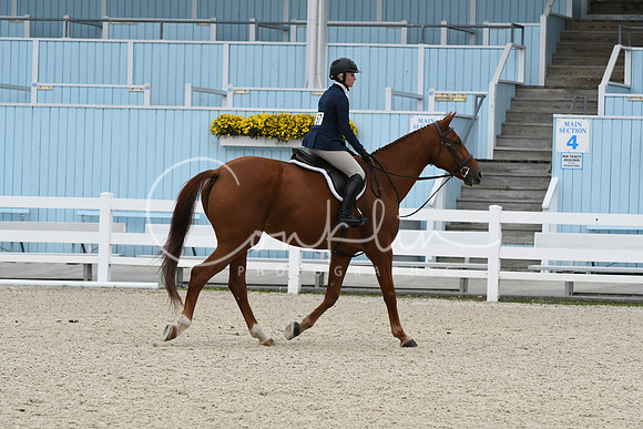 HSM_2396