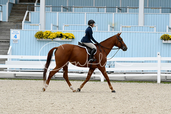 HSM_2398