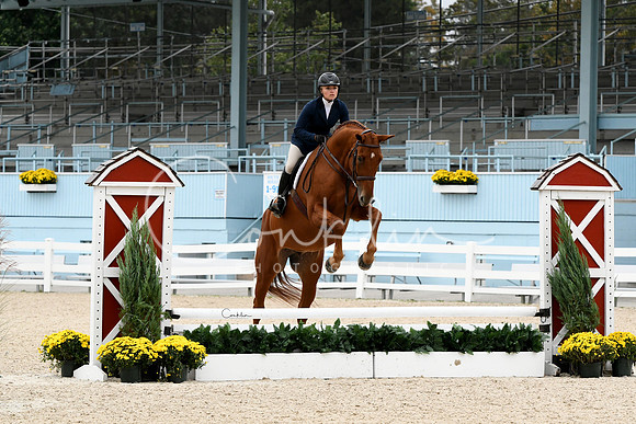 HSM_2521-1