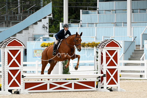 HSM_2530 copy