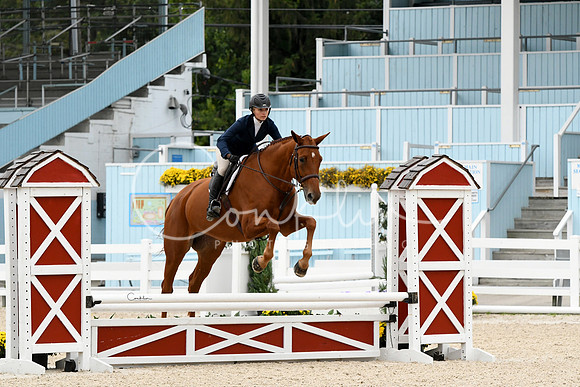 HSM_2530-1