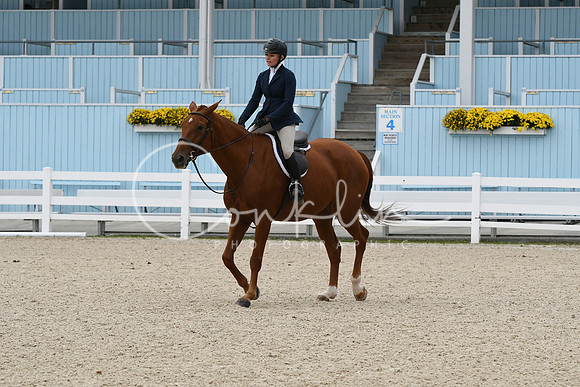 HSM_2535