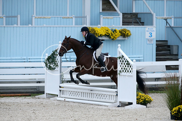 RJC13851