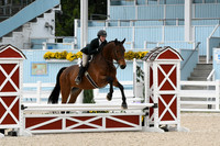 HSM_2438