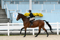 HSM_2440