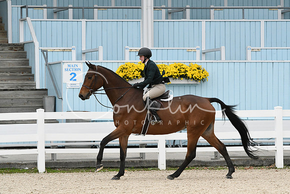HSM_2440