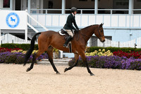 HSM_2446