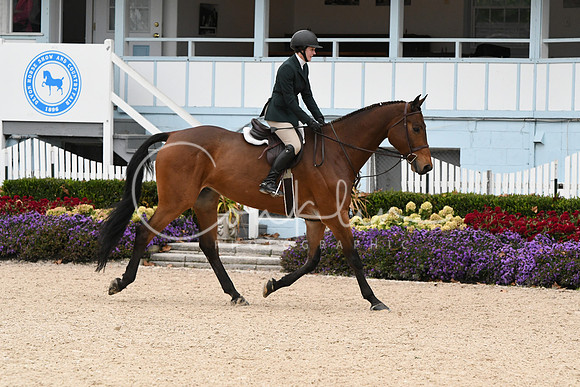 HSM_2446